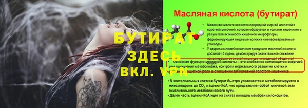 сатива Новозыбков