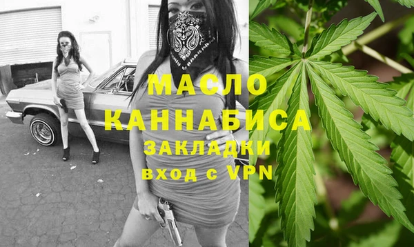 сатива Новозыбков