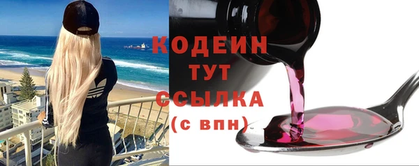 сатива Новозыбков