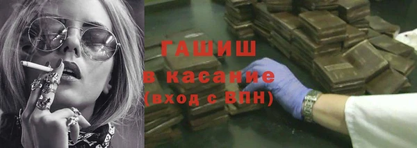сатива Новозыбков