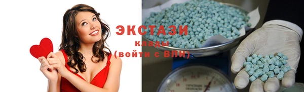 сатива Новозыбков