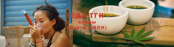 сатива Новозыбков