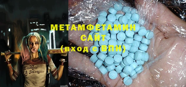 сатива Новозыбков