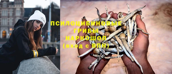 гидра Нея