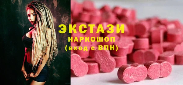 сатива Новозыбков