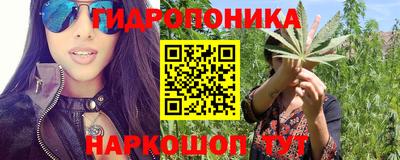 винт Кингисепп