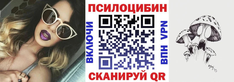 Псилоцибиновые грибы GOLDEN TEACHER  купить наркоту  даркнет состав  Кушва 