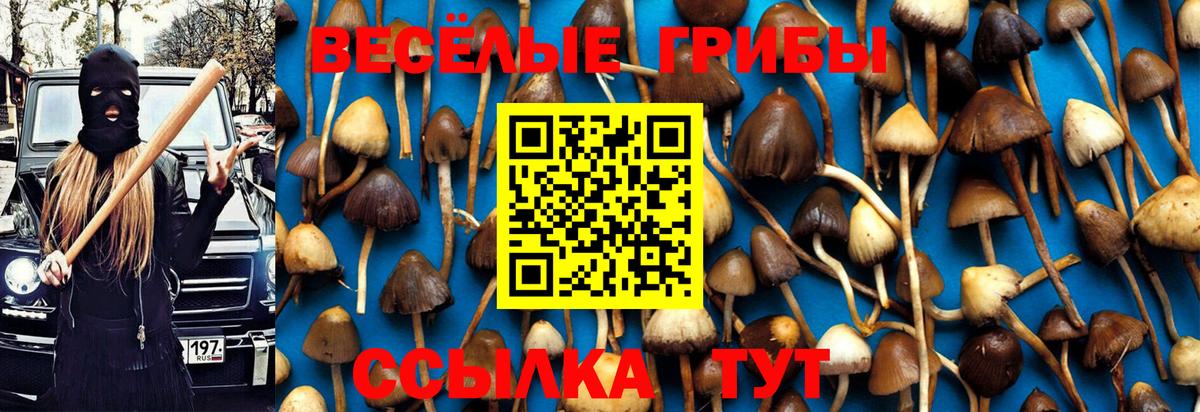 Псилоцибиновые грибы MAGIC MUSHROOMS  Галлюциногенные грибы GOLDEN TEACHER  Кушва  Вход с VPN 