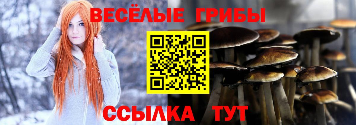 Галлюциногенные грибы прущие грибы  Кушва 